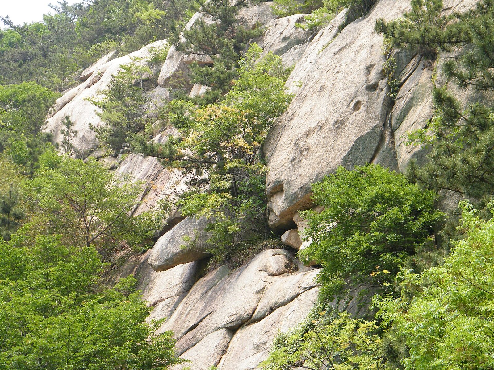 Laoshan, Qingdao, Shandong, China